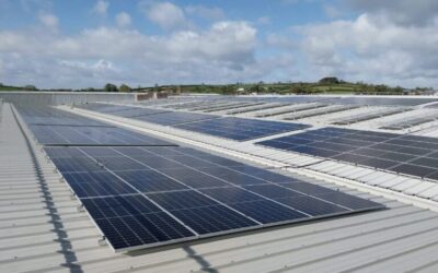 Rapid kicks off 2025 with major supply projects