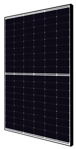 ALPHA SMILE-BAT-10.1 P